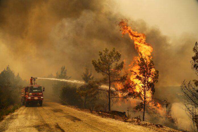 2021-07-30t112053z-985426242-rc2zuo9wb0aa-rtrmadp-3-turkey-wildfires-manavgat-scaled