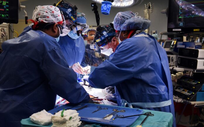 2022-01-10t224156z-1755940857-rc2dur9wl7uf-rtrmadp-3-health-transplant-pig-heart