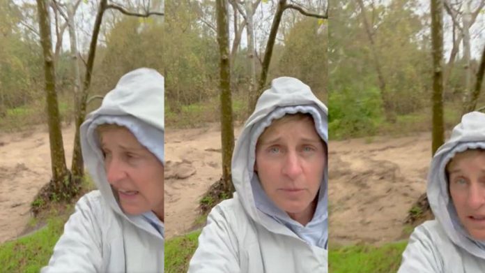 ellen4