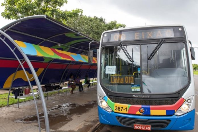 onibus-palmas