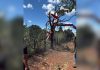 Saiba qual é o modelo e quanto vale o helicóptero de Henrique e Juliano que caiu em fazenda no Tocantins